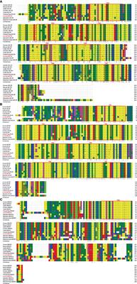 Pharmacological Evaluation of Melanocortin 2 Receptor Accessory Protein 2 on Axolotl Neural Melanocortin Signaling